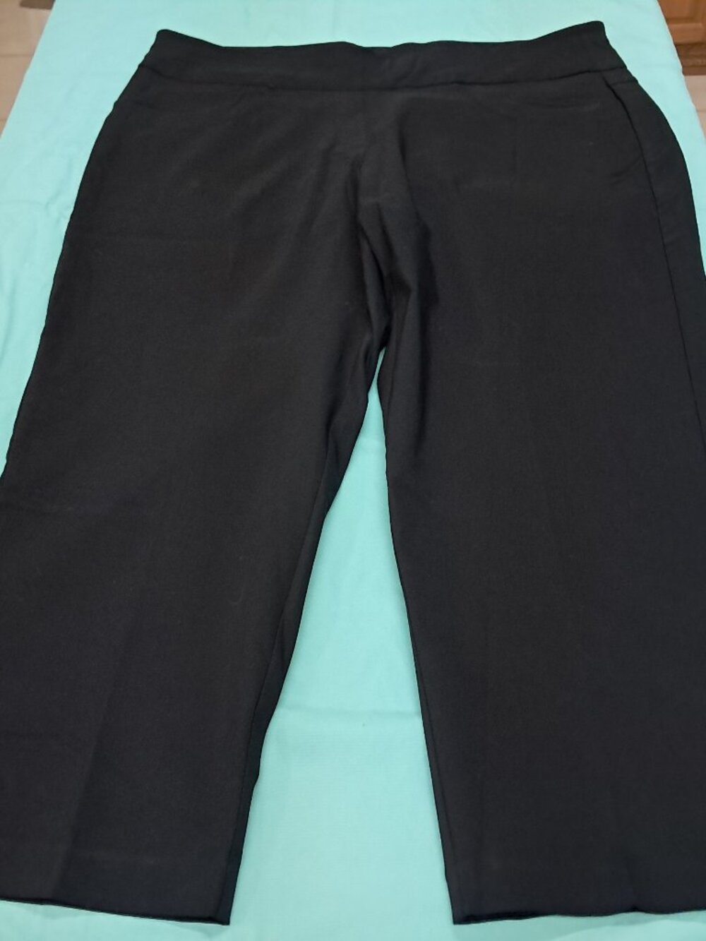 Ruby Rd Woman Plus Size Slimming Pants Black 22W Short NWT